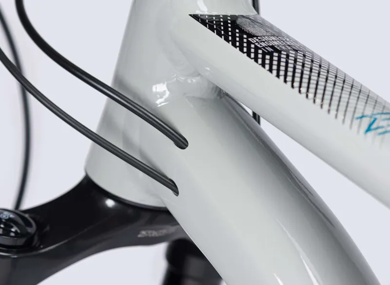 Lapierre Zesty AM 4.9 29er 2021 Full Suspension Mountain Bike-4